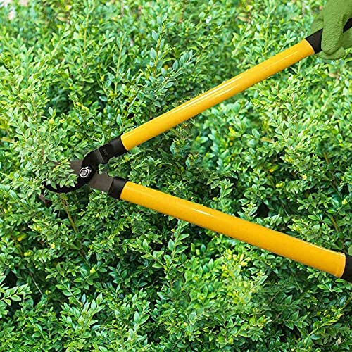 Tree Loppers - Heavy Duty 21 Inch Garden Tools Hand Loopers 4cm in Diameter for Pruning Tree Hedge Branch - Light-Weighted Gardening Tools Tree Branch Cutter Up to 4cm in Diameter
