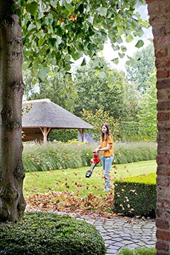 Toro Ultra Electric Leaf Blower / Leaf Vacuum / Leaf Shredder (51563)