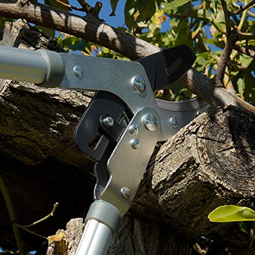 Davaon Pro Tree Pruner - Telescopic Tree Pruners & Branch Cutters- Ideal Gardening Tool for Cutting Thick Hedges and Tough Branches - Tree Loppers - Ratchet Loopers with Long Reach