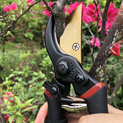 gonicc 8" Professional Secateurs Premium Titanium Bypass Pruning Shears (GPPS-1003), Hand Pruners, Garden Clip, Hedge Shears(Gold)