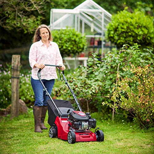 Mountfield SP41 Petrol Lawnmower, Self-Propelled, 39cm cutting width, 123cc ST120 Autochoke petrol engine, Up to 250m², Includes 40L Grass Collector